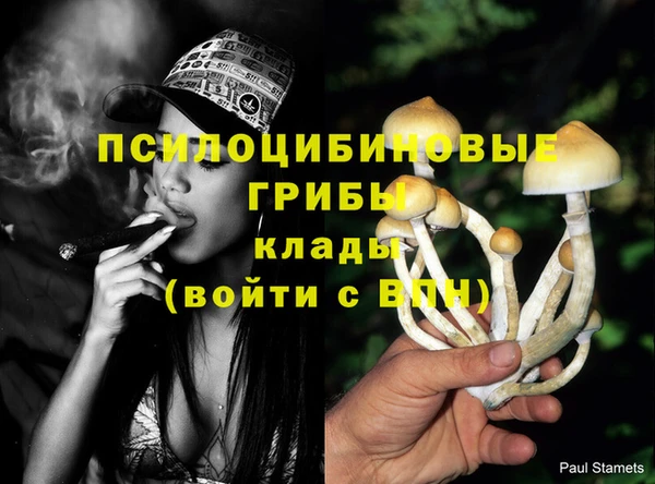 мяу мяу мука Бронницы